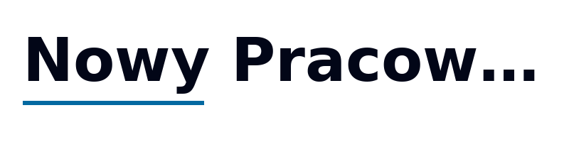 Nowy Pracownia logo